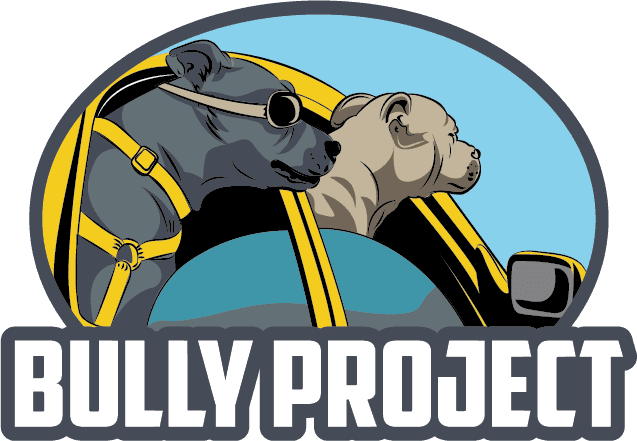 Bully Projects